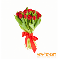 Тюльпаны красные заказать в Москве